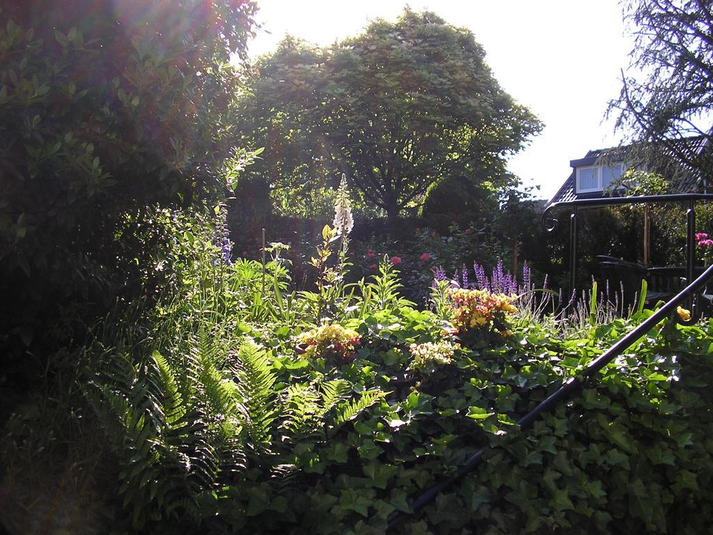 Walnut Lodge Bed&Breakfast Noorbeek Exterior foto